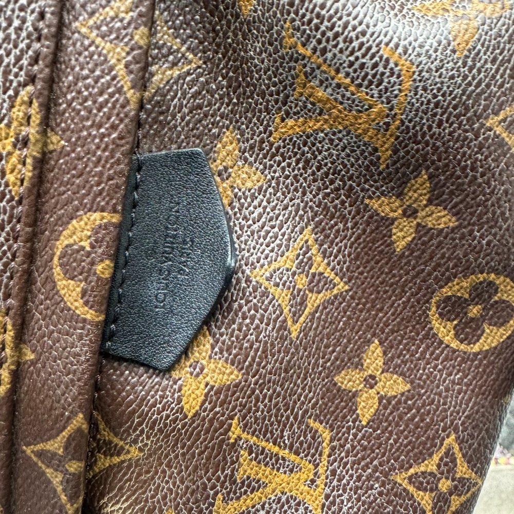 Louis Vuitton Monogrammed Palm Springs PM - Picture 9 of 16
